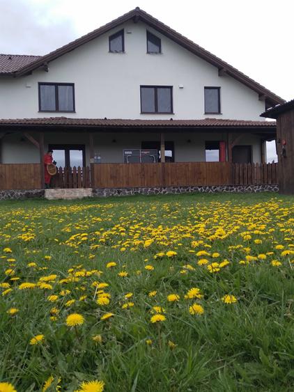 Apartament cu 2 camere decomandat în Bod
