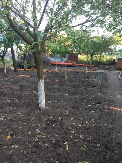 Casă cu 5 camere cu Canalizare în Nanov