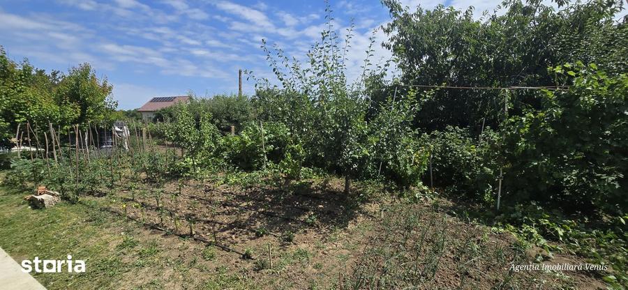 Casă cu 6 camere cu Teren 1042 Mp în Central