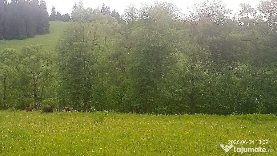 Teren de 500 mp, în Frumoasa
