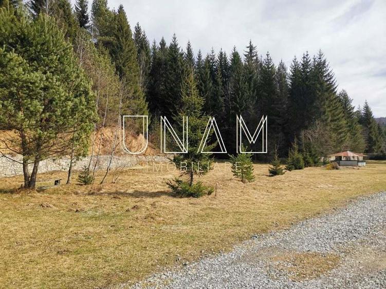 ***OFERTA NOUA*** Teren langa Scena, in Poiana Lupului, Garana - 11