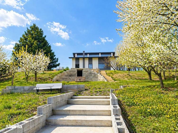 Casa de vanzare Hlincea Iasi + 1500 mp teren - 6