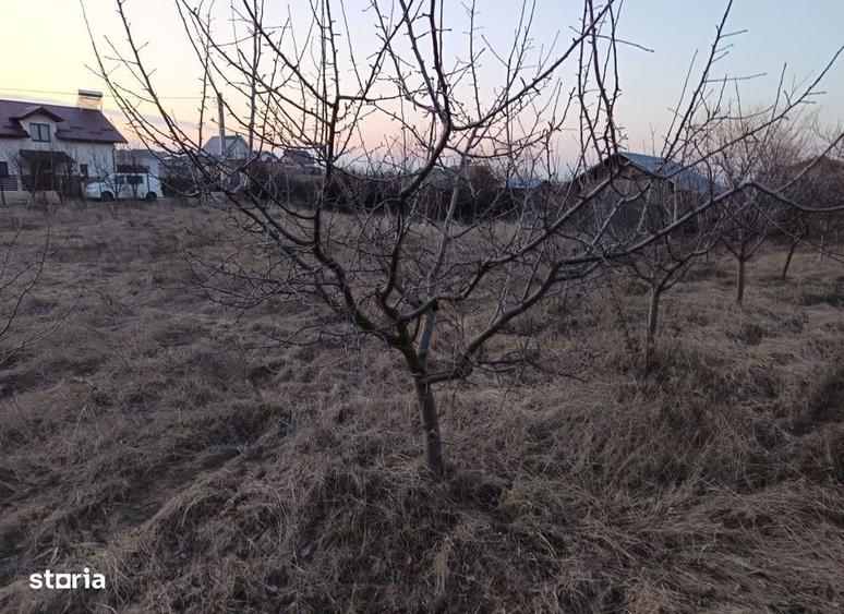 Teren de 600 mp, în Miroslava
