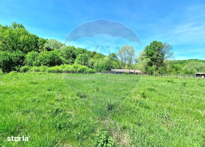 Teren de 8300 mp, în Mărgineni