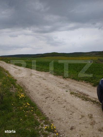 Teren de 3621 mp, în Petrești