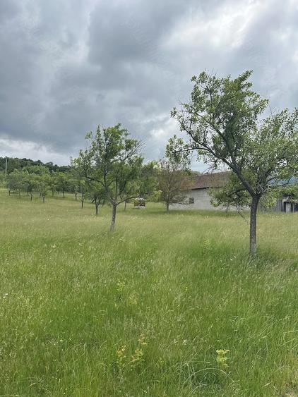 Teren de 27510 mp, în Teregova