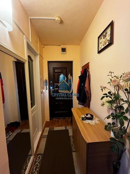 Apartament cu 2 camere semidecomandat în Mureșeni
