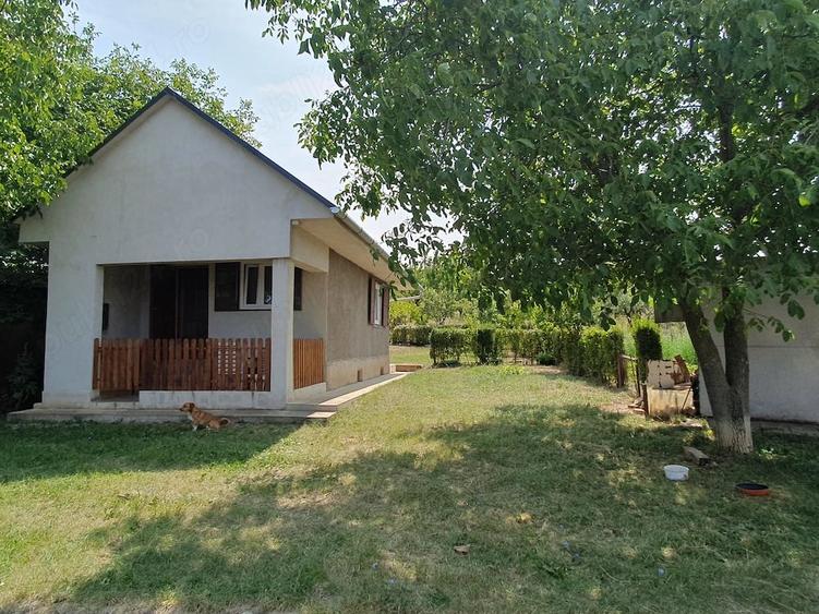 Teren de 3000 mp, în Episcopia Bihorului