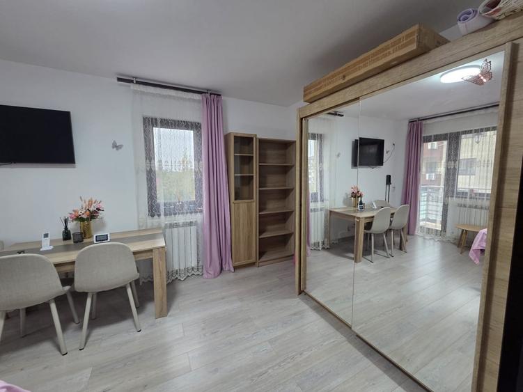 Garsonieră decomandată în Valea Lupului