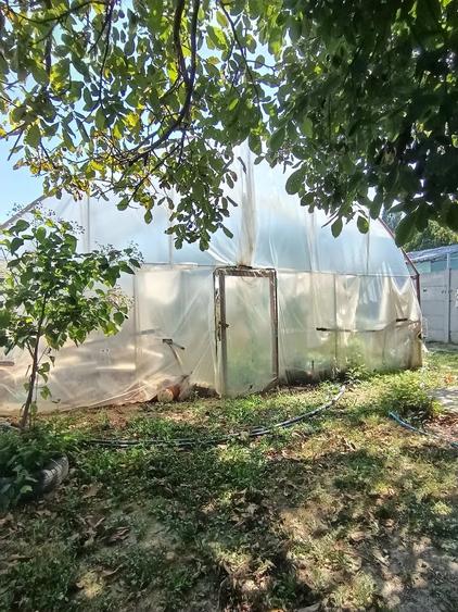 Casă cu Teren 2100 Mp în Crivina