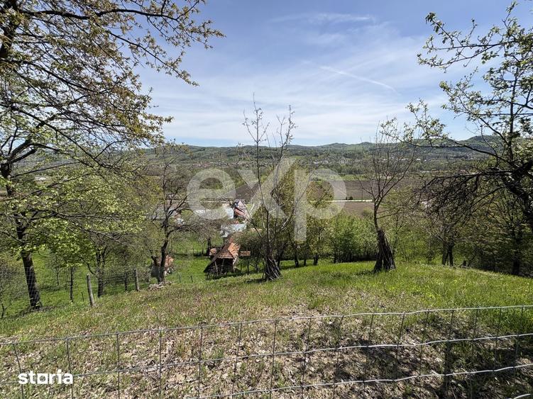 Teren de 14613 mp, în Tigveni