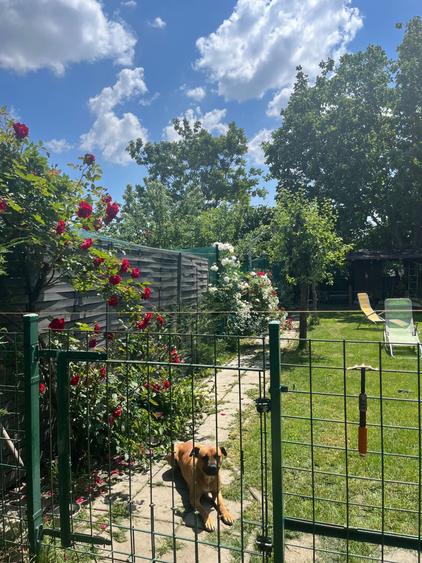 Casă cu 4 camere în Fratelia
