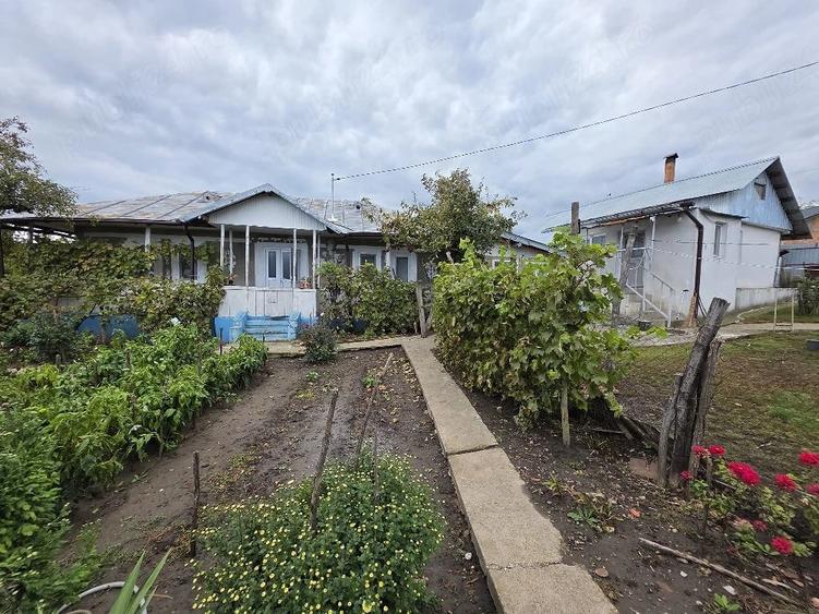 Casă cu 3 camere cu Teren 3000 Mp în Deleni