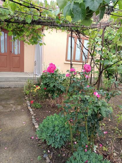 Casă cu 3 camere în Cosmești