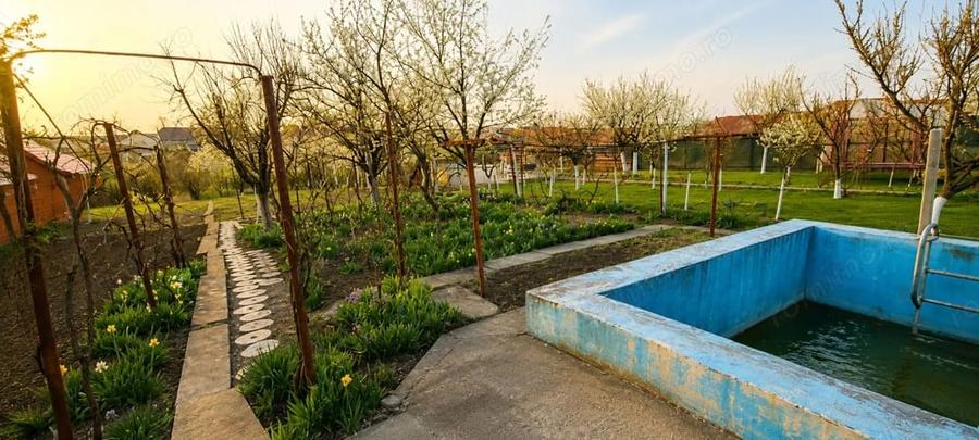 Casă cu Teren 1348 Mp în Giarmata
