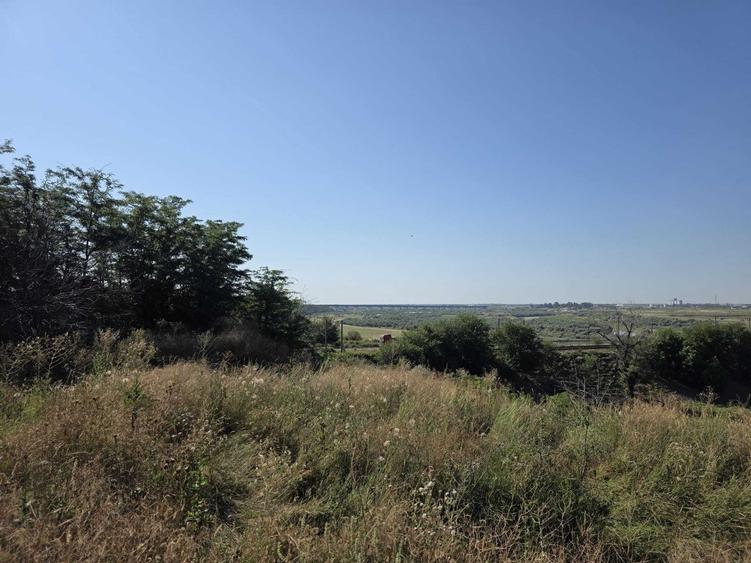 Teren de 3641 mp, în Băjani