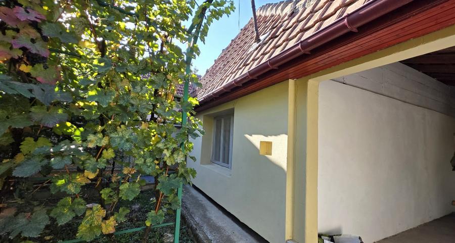 Casă individuală cu 4 camere cu Canalizare în Plopi