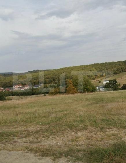 Teren de 1500 mp, în Central