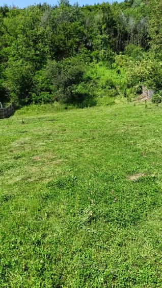 Teren de 4000 mp, în Aninoasa