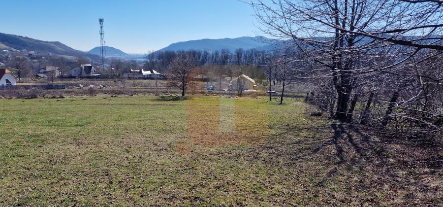 Teren Construcții intravilan de 4000 mp, în Alexandru cel Bun