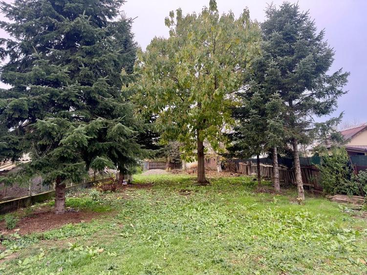 Teren Construcții intravilan de 2306 mp, în Tâncăbești