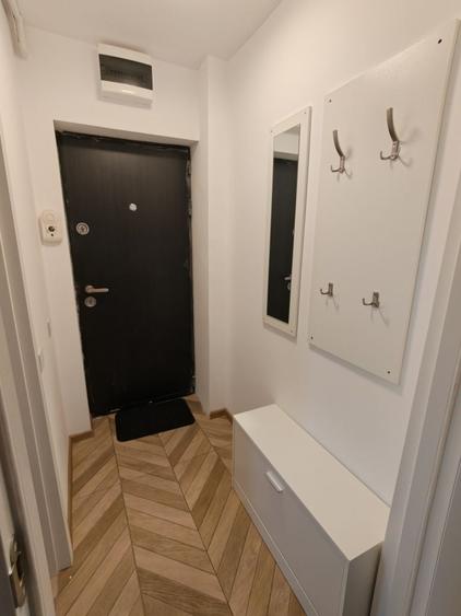 Apartament cu 2 camere semidecomandat în Dosu Bricii