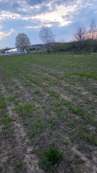 Teren de 2000 mp, în Central