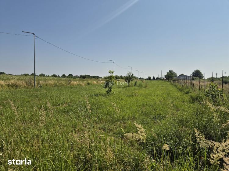 Teren intravilan in Izvorani Delta Snagov