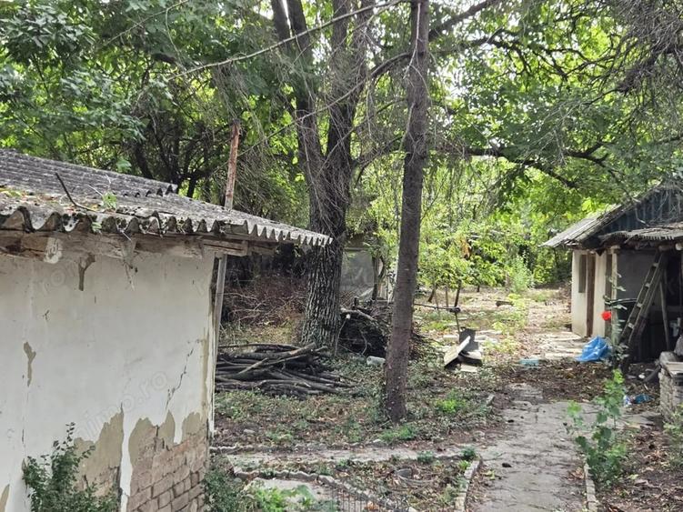 Teren de 884 mp, în Dârza
