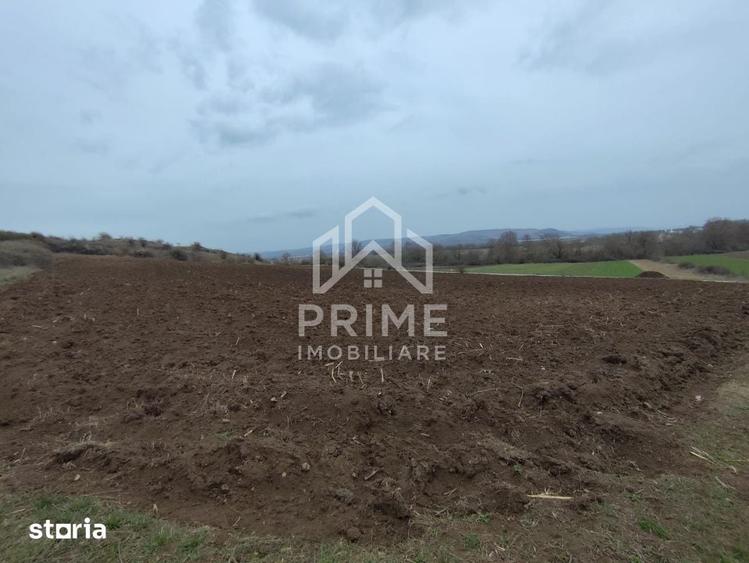 Teren de 9700 mp, în Central
