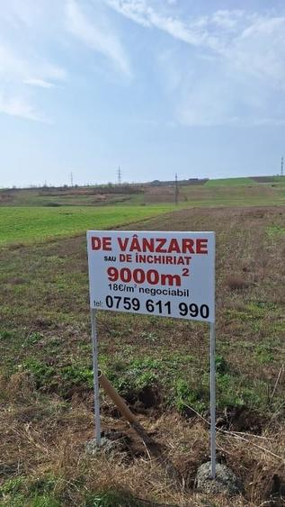 Teren Construcții intravilan de 9000 mp, în Zorleni