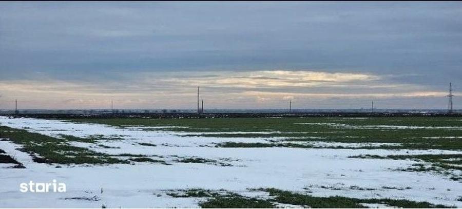 Teren de 20000 mp, în Dragalina
