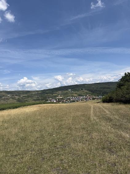 Teren Construcții extravilan de 559 mp, în Iris
