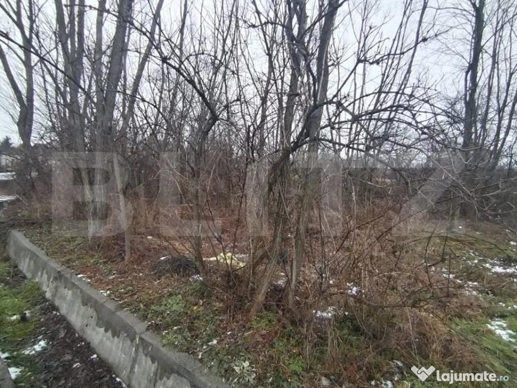 Teren de 580 mp, în Priseaca