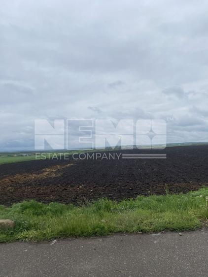 Teren agricol extravilan de 14100 mp, în Dornești