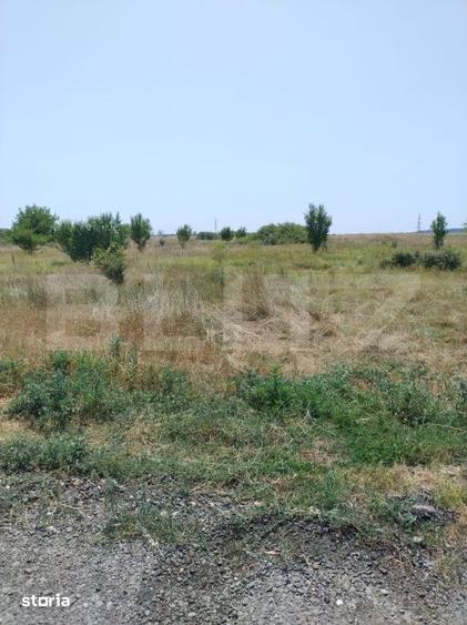 Parcele intravilan, 500 mp, str Constantei, langa Eurocartier - 3
