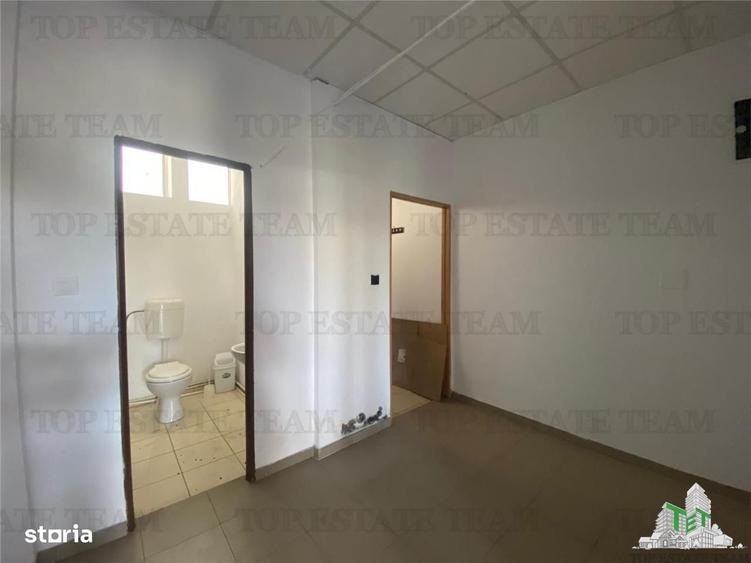 Spațiu comercial, de 190 mp, în Delfinariu