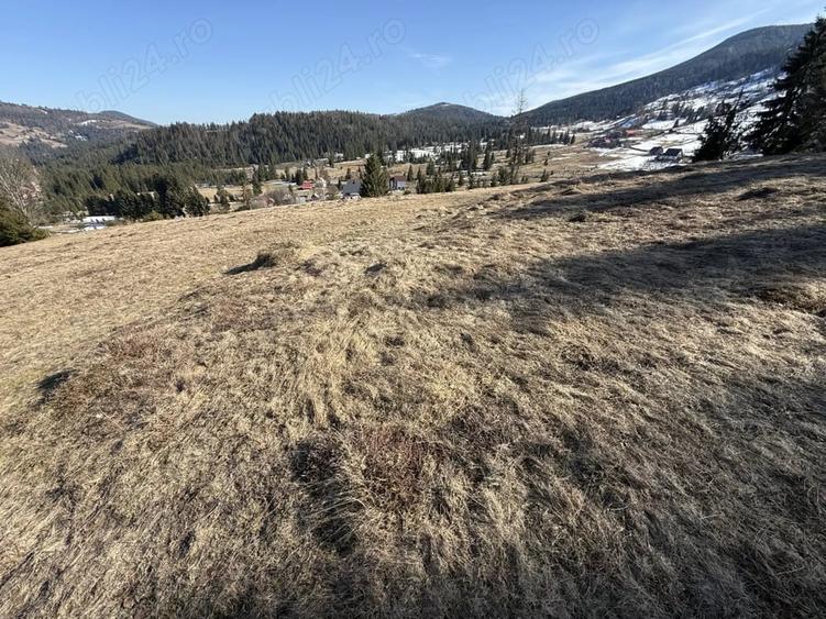 Teren de 12500 mp, în Galbena