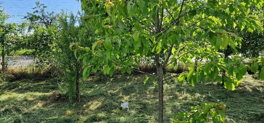 Teren de 3034 mp, în Bejan