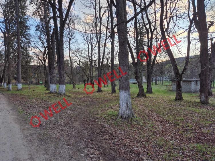 Teren Construcții intravilan de 3125 mp, în Vâlcele