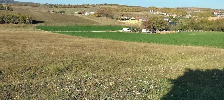 Teren de 1000 mp, în Central