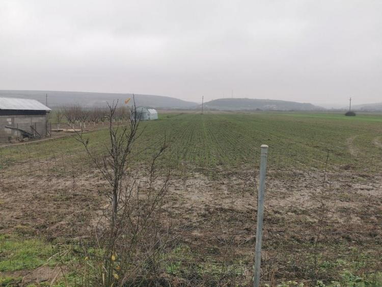 Casă individuală cu 4 camere cu Canalizare în Argetoaia