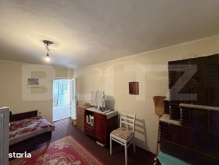 Casa pe parter, 115 mpc, 4505 mp teren, zona Bogea-Almaj - 5