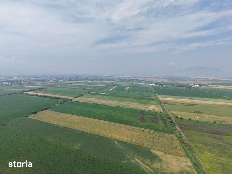 Teren de 52700 mp, în Stupini