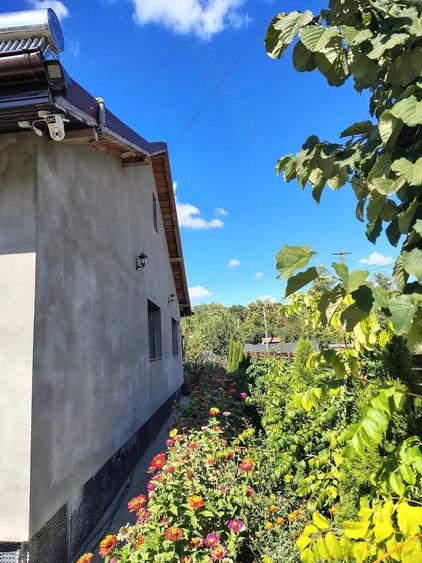 Casă cu 3 camere cu Teren 736 Mp în Brad (Berești-Bistrița)