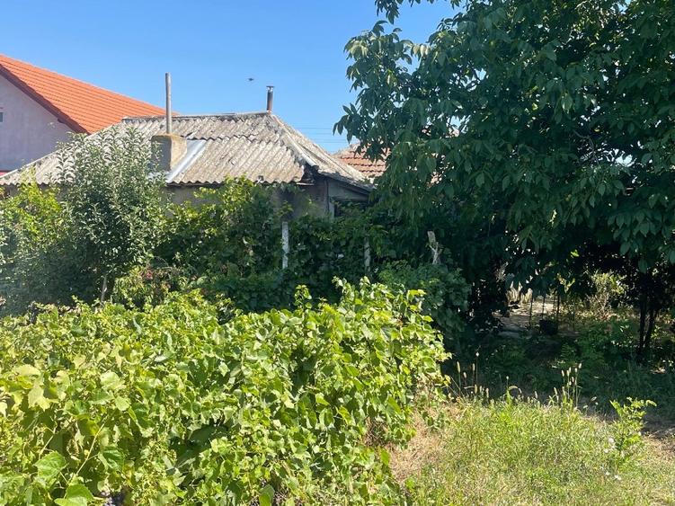 Casă individuală cu 3 camere cu Teren 720 Mp în Movila