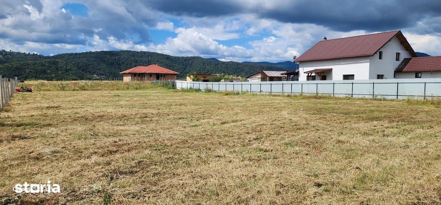 Teren de 5000 mp, în Dumbrava