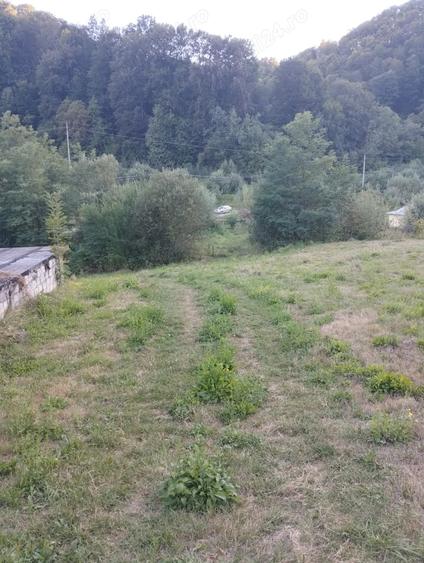 Teren de 9800 mp, în Pietrari