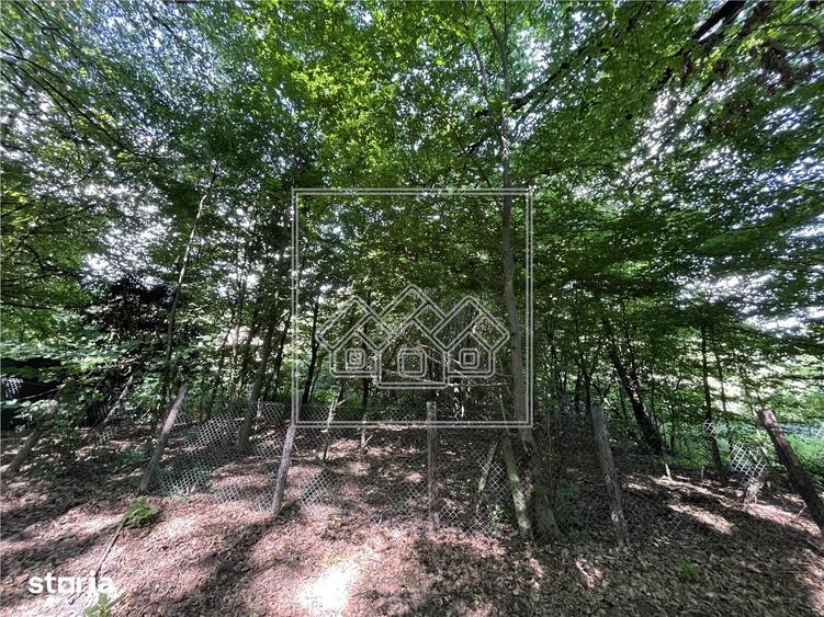 Teren in Cisnadie - 1.500 mp, inainte de Tocile, acces la drum, invest - 2