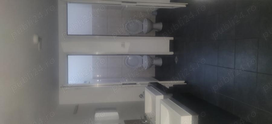 Spațiu comercial, de 230 mp, în Dacia